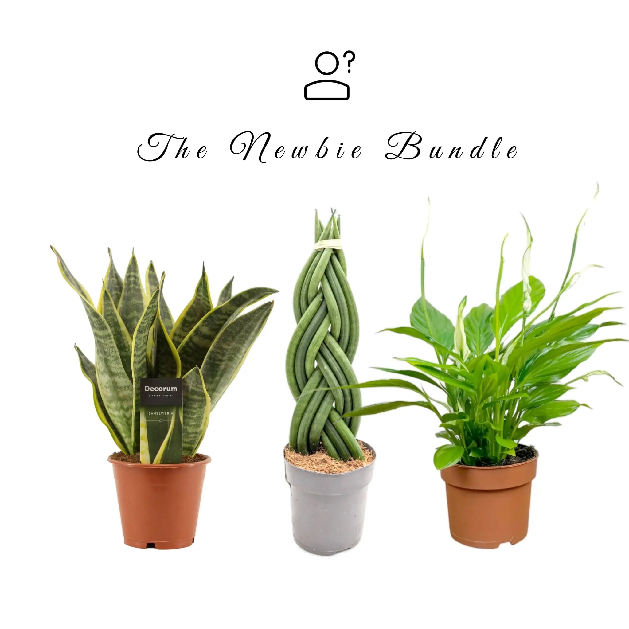 The Newbie Bundle Leaf Culture