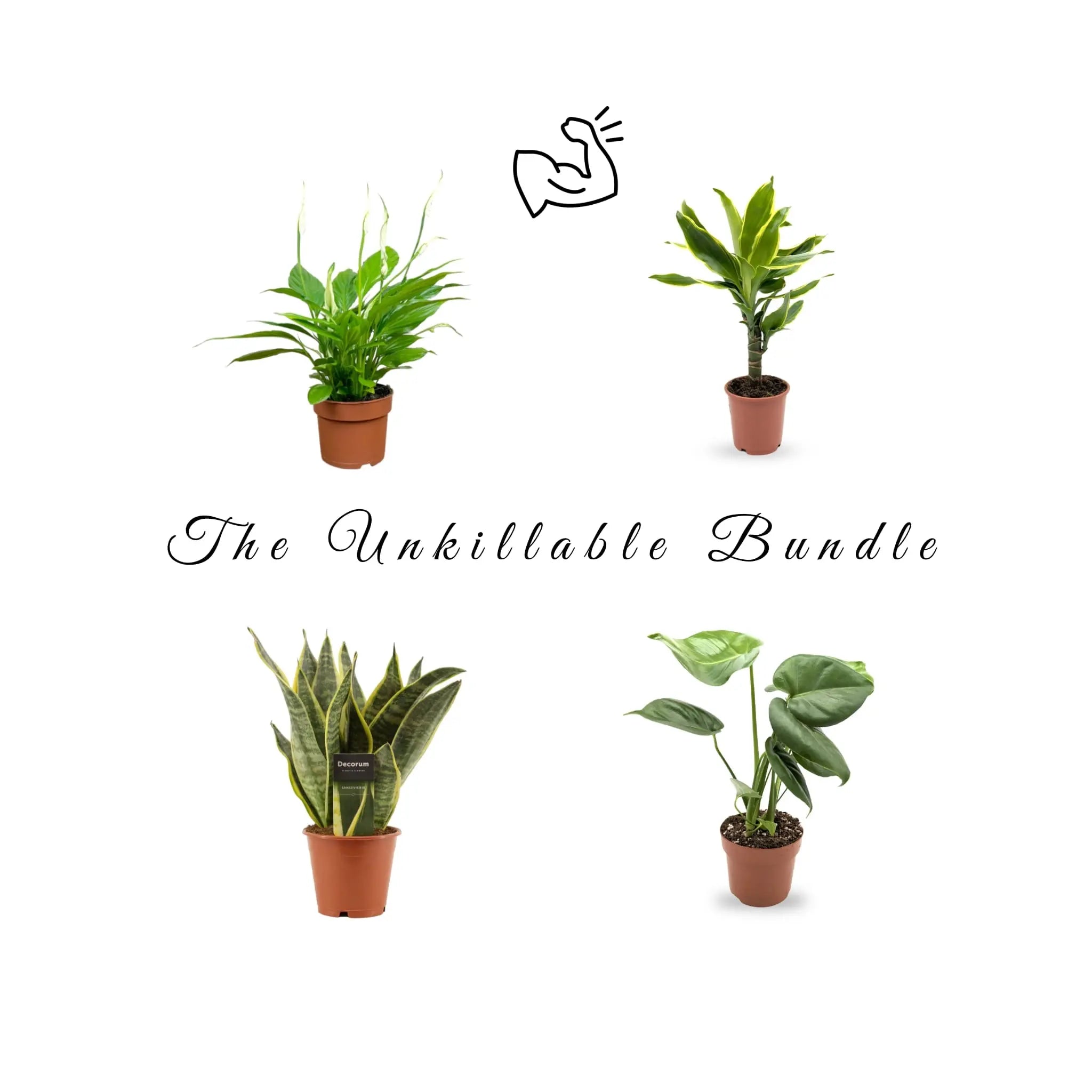 The Unkillable Bundle Leaf Culture