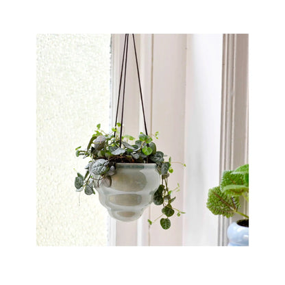 Bombini Hanging Pot Trio - Gift Boxed Burgon &amp; Ball